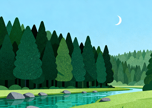 折腾 家里的自组NAS